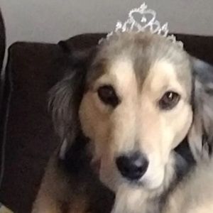 Meet your Posher, Hannah